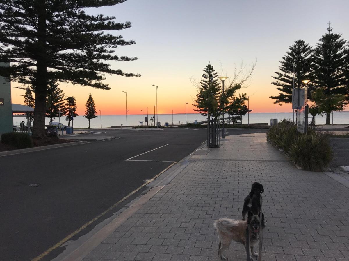 Big4 Ceduna Tourist Park Exterior photo